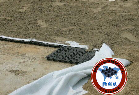 屋頂綠化排水板http://ddis.com.cn/