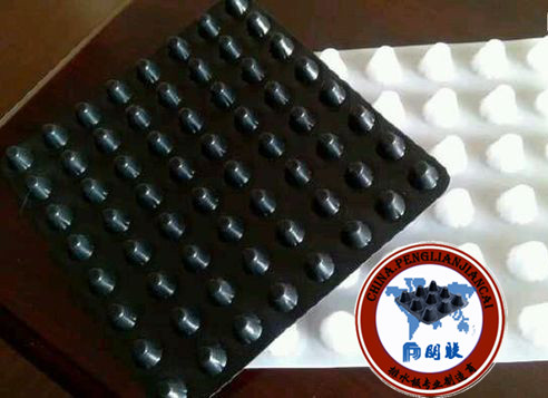 塑料排水板廠家http://ddis.com.cn/